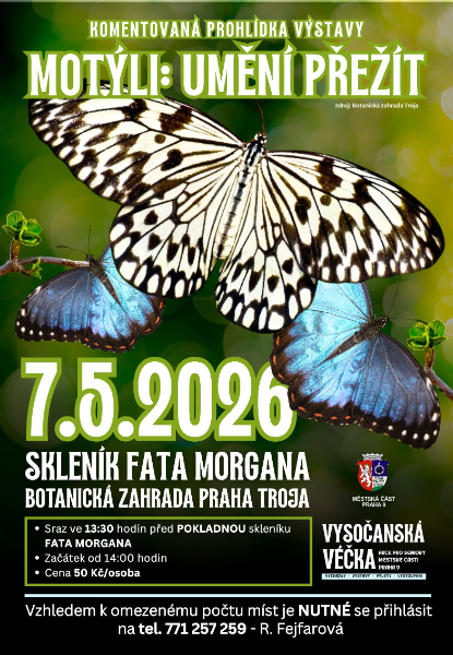 Motýli ve skleníku Fata Morgana