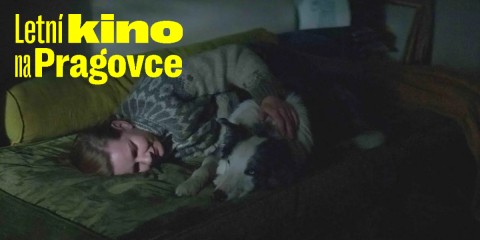 Letní kino na Pragovce / Anatomie pádu