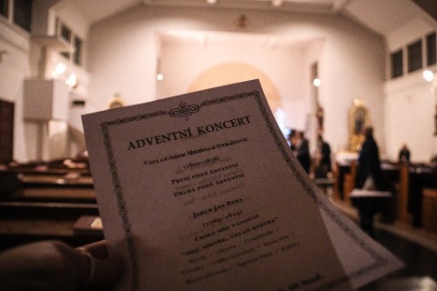 program