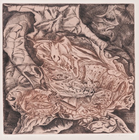 V. Matoušová - Opuštěná kukla