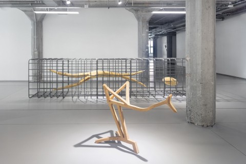 Vzduch, voda, Velký a Malý vůz