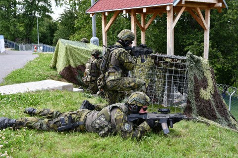 střečení ilustrační