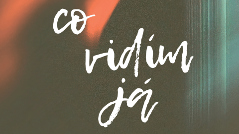 VÝSTAVA  | Co vidím já  |  12.2.2026 - 1.3.2026