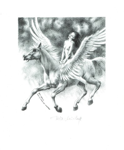 Nymfa na pegasu - P. Minka
