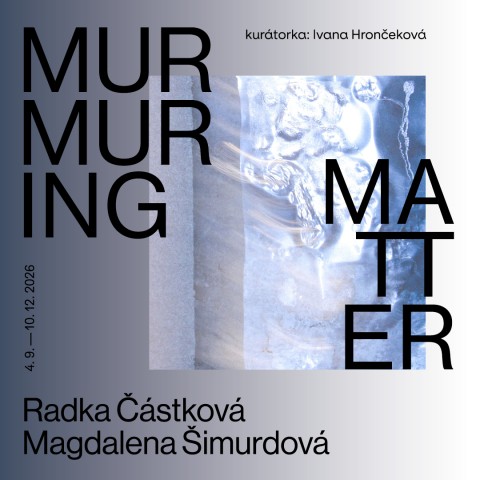 plakát výstavy Murmuring Matter
