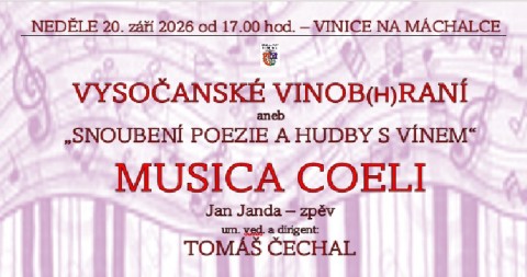 Vinice na Máchalce