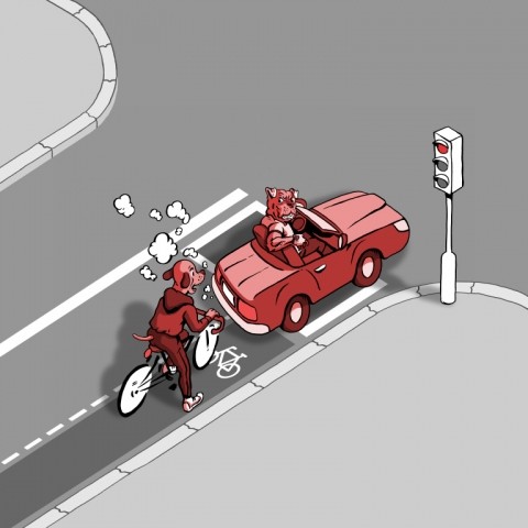 Jaká jsou práva cyklistů a motoristů ve městě?