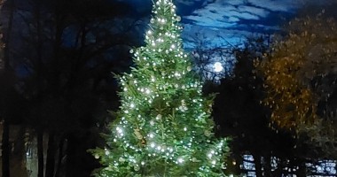 Vánoční strom - park Václavka