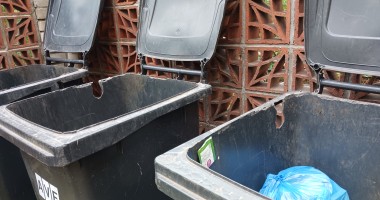 Okousané popelnice od potkanů