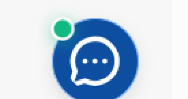 ikona